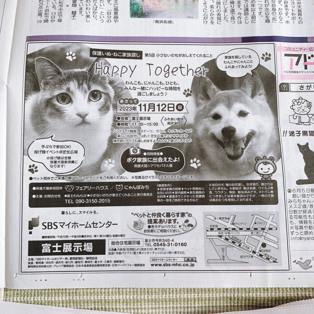 イベント🎪無事終了＆お外産まれの三毛娘 2023秋 | にゃんぽみち